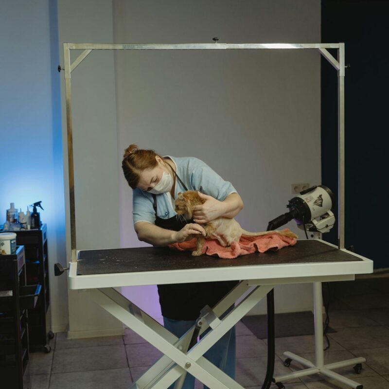 A pet groomer attending to a small dog on a grooming table in a salon setting.